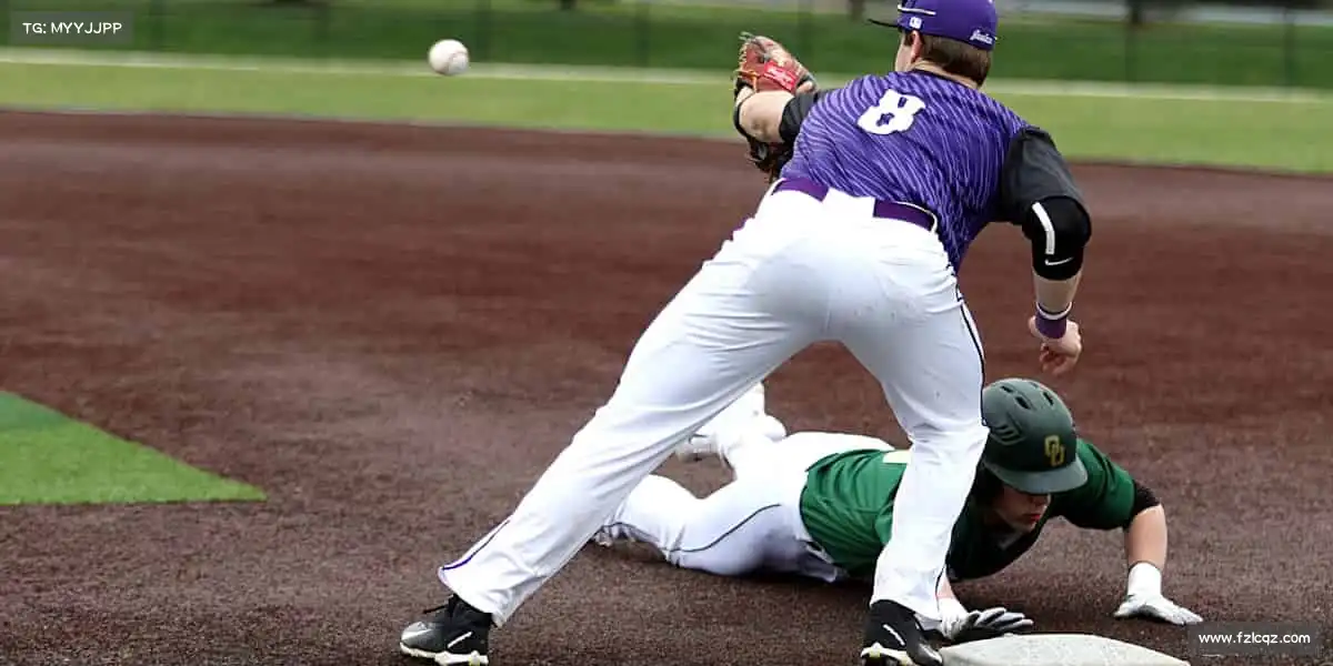 为什么选择我们